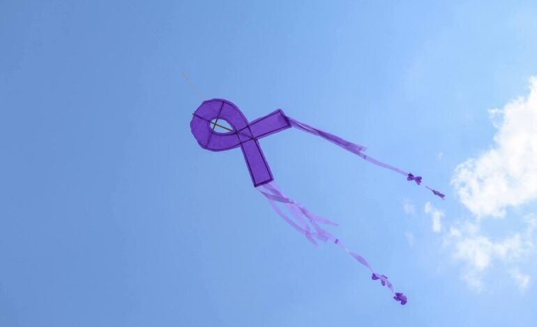 Promueve SEPH Igualdad de Género Con Concurso de Papalotes