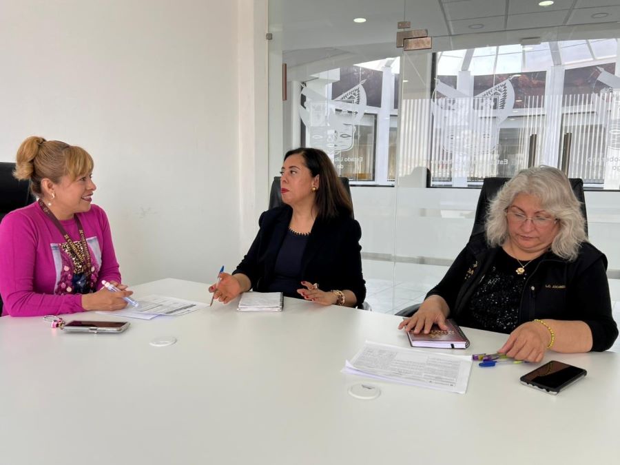 Comisarios Públicos Vigilan el Adecuado Ejercicio de los Recursos