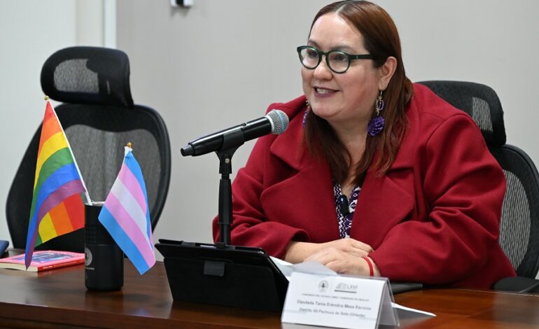 Diputada Morenista Propone Cerrar los Espacios Legales en Materia Familiar