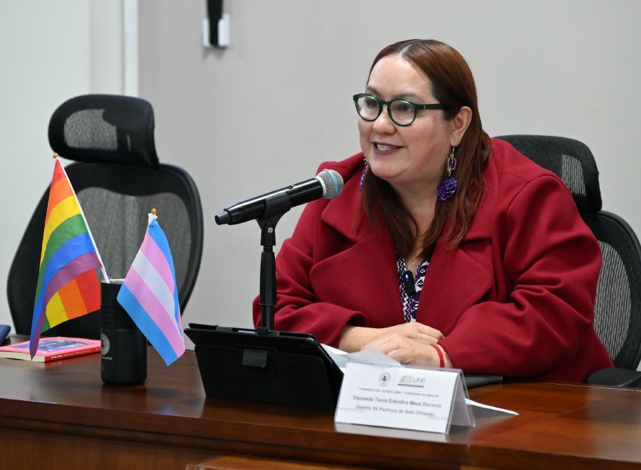 Diputada Morenista Propone Cerrar los Espacios Legales en Materia Familiar