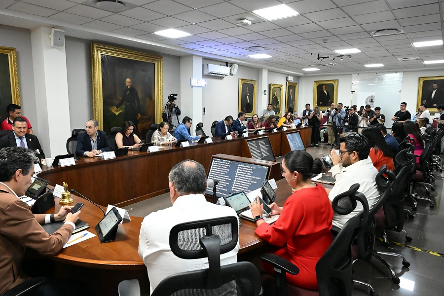 Con iniciativa, legisladores reconocen a las abejas como especie de protección prioritaria