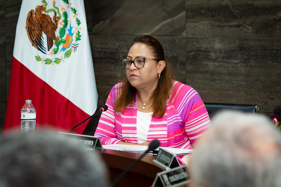 IEEH Rinde Informe del Mes de Abril Sobre Seguimiento a Acuerdos, Resoluciones y Convenios Aprobados Por el Consejo General