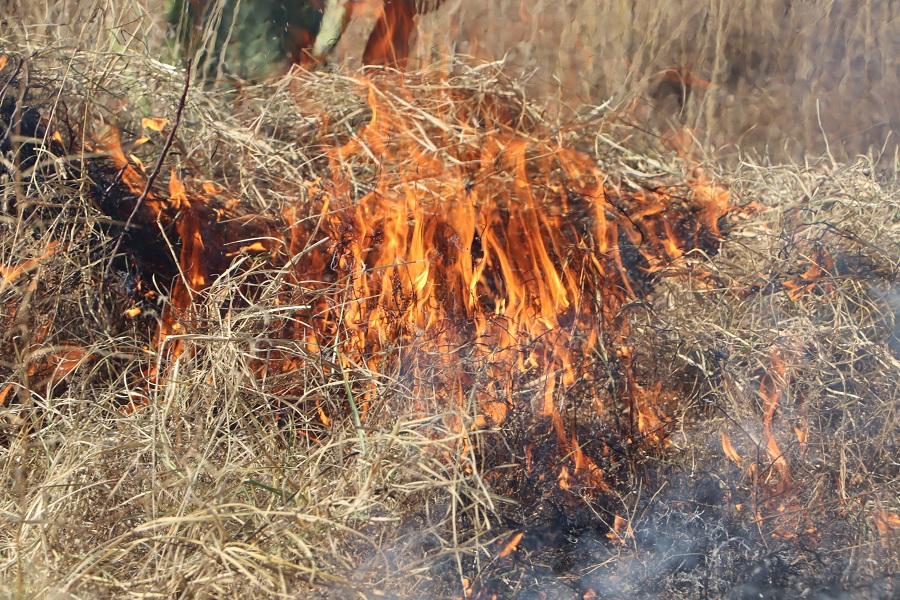 Incendio Forestal Registrado en la Comunidad de Comatitlán, Jacala de Ledezma