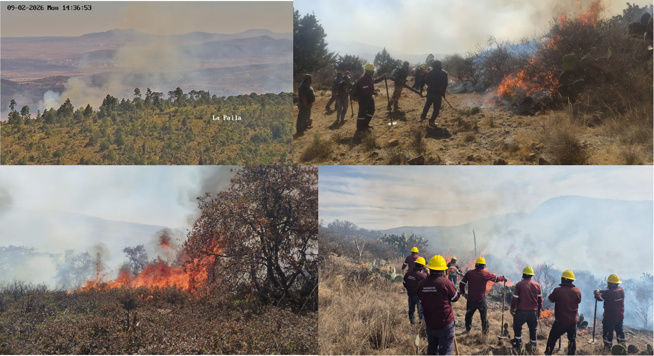 Más del 60 % de los Incendios en la Entidad Son Provocados Por Personas