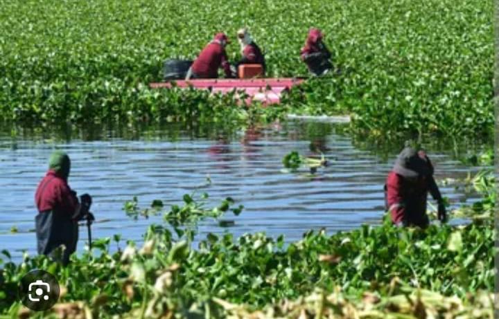 SEMARNAT impulsa diálogo comunitario para la restauración integral de la presa Endhó