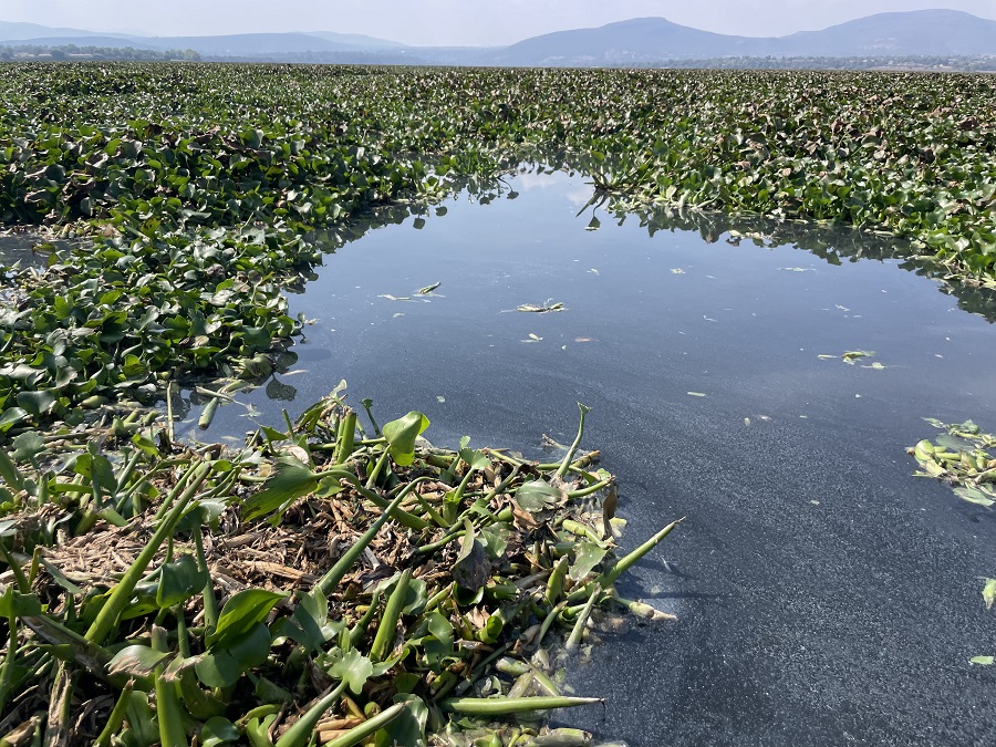 Analiza Científica de la UAEH Alternativas Sostenibles Ante Crisis Ambiental En Tula-Tepeji