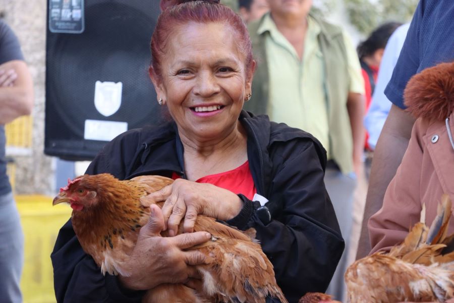 Con Entrega de Aves de Doble Propósito Gobierno de Hidalgo Fortalece La Economía de Las Mujeres Rurales