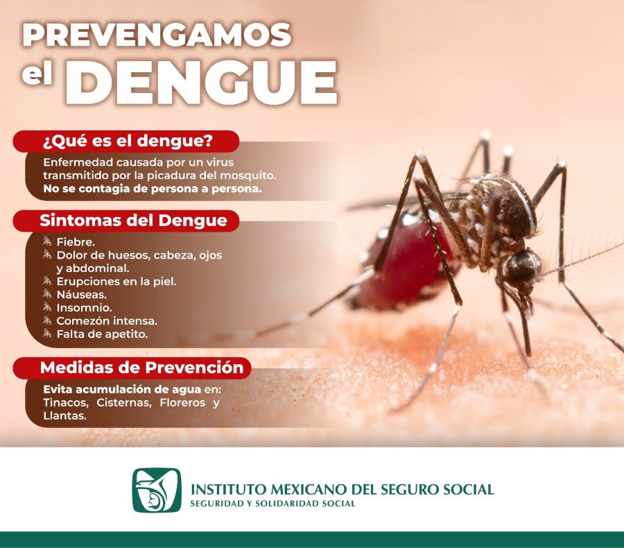 Llama IMSS Hidalgo Adoptar Medidas Para Evitar Casos de Dengue