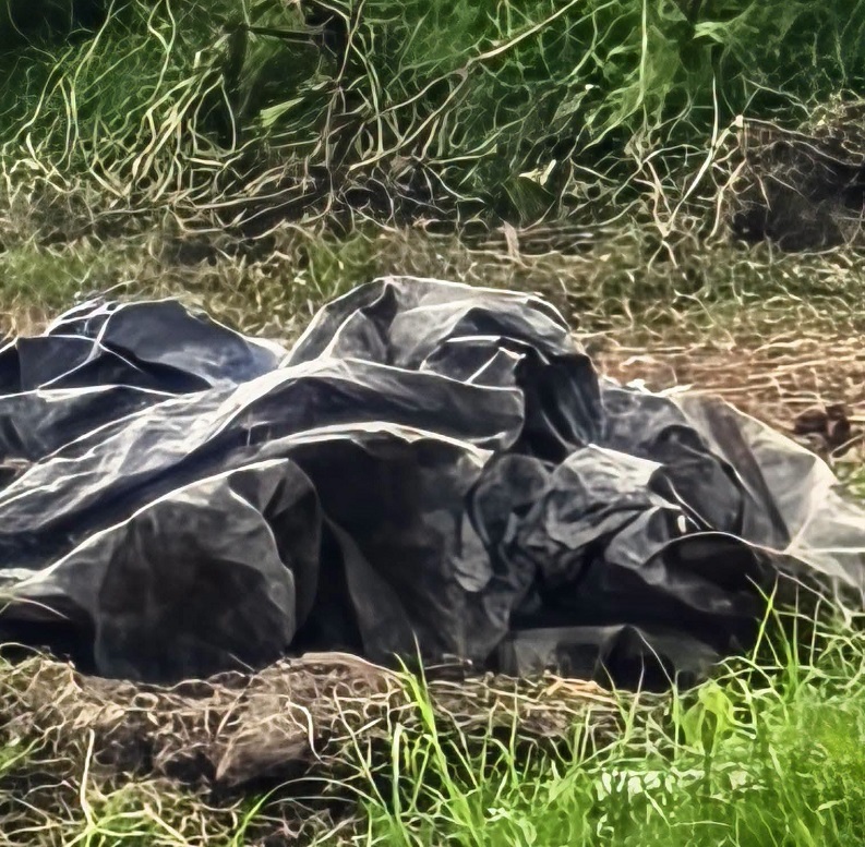 Encuentra la SSPEH Una Bolsa Negra con Restos Humanos en Estado de Descomposicion en el Dren Mimila en Tulancingo