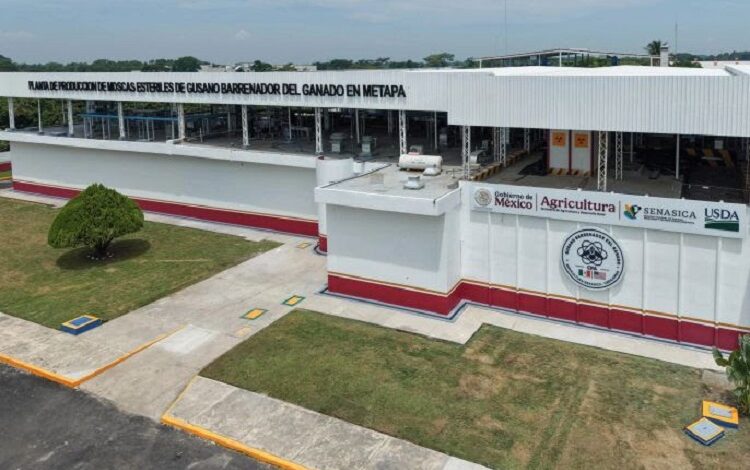 Presidenta Claudia Sheinbaum Inaugura Planta de Producción de Moscas Estériles del Gusano Barrenador del Ganado en Metapa de Domínguez, Chiapas