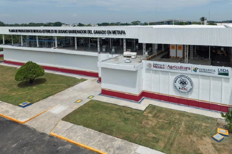 Presidenta Claudia Sheinbaum Inaugura Planta de Producción de Moscas Estériles del Gusano Barrenador del Ganado en Metapa de Domínguez, Chiapas