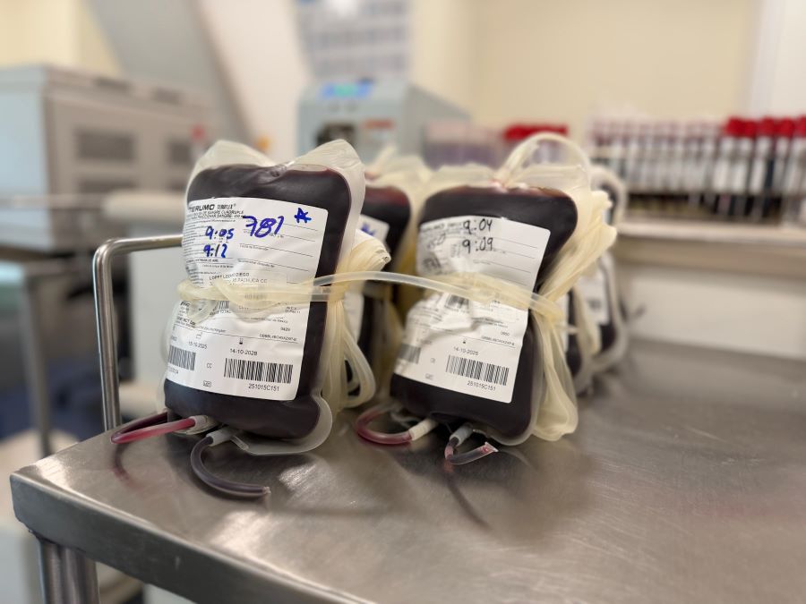 Realiza HGZ No. 36 de Pachuca Jornada de Donación de Sangre Altruista