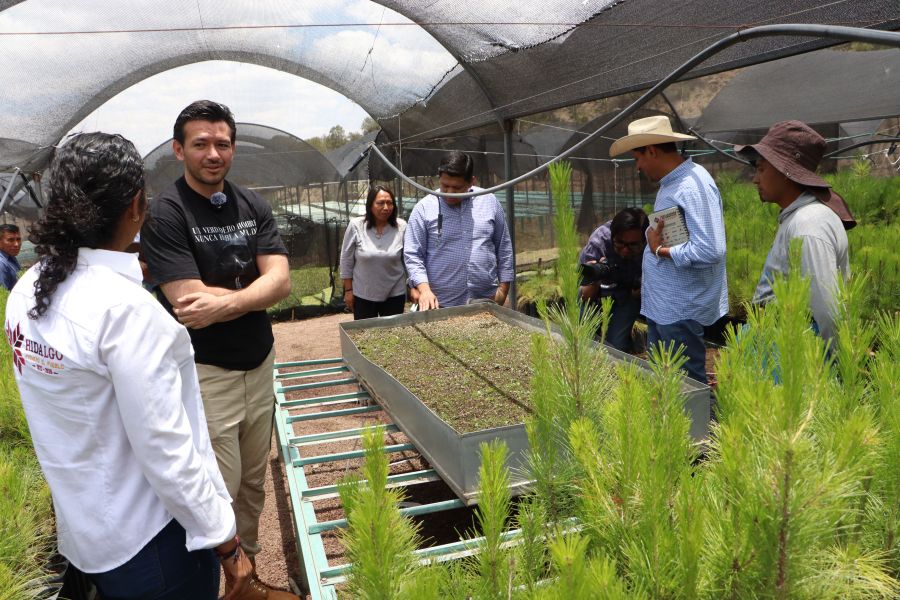 UPLAPH y Semarnath invitan a la ciudadanía a donar semillas de especies nativas para reforestar Hidalgo