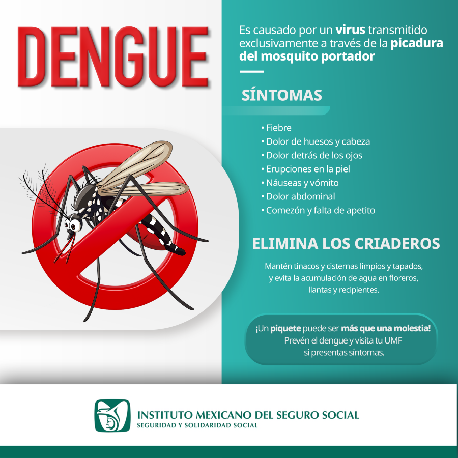 Exhorta IMSS Hidalgo a Población a Reforzar Medidas de Prevención Contra Dengue