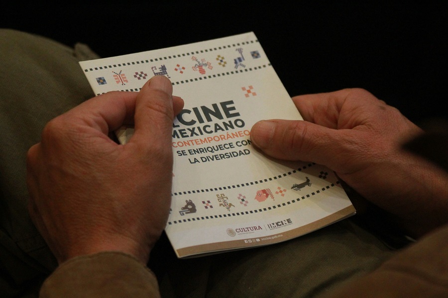 Nueva Legislación Abre Oportunidades y Retos Para El Cine Mexicano