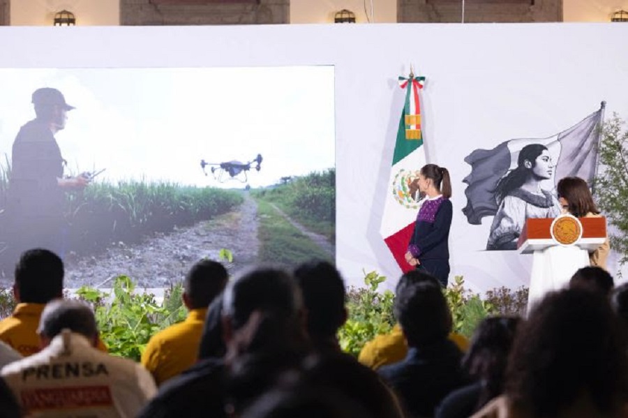 Presidenta Claudia Sheinbaum Presenta La Jornada Nacional de Reforestación 2026; Se Realizará El Próximo Domingo 9 de Agosto y Se Plantarán 6.6 Millones de Árboles y Plantas