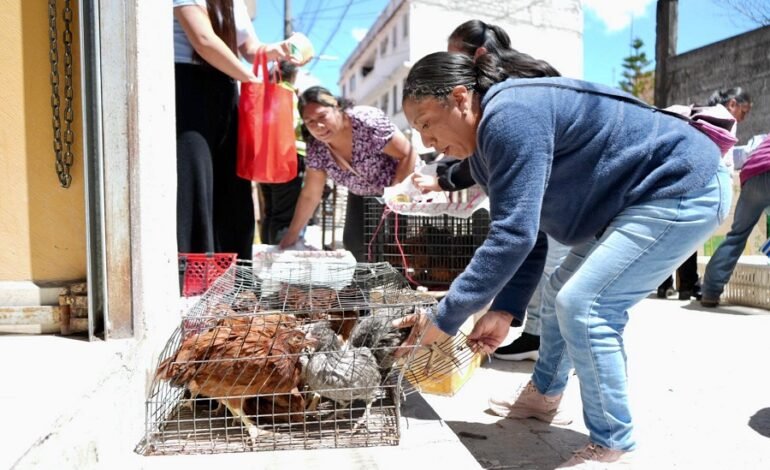Saderh entrega apoyos productivos a mujeres y familias del campo, en el municipio de Zacualtipán