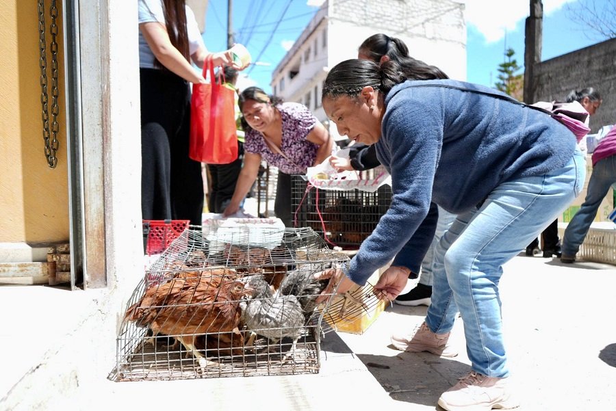 Saderh entrega apoyos productivos a mujeres y familias del campo, en el municipio de Zacualtipán
