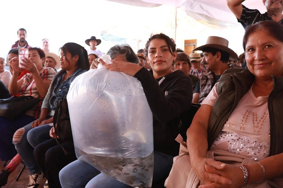 Gobierno estatal beneficia a 498 productoras y productores de las regiones Otomí-Tepehua y Valle de Tulancingo