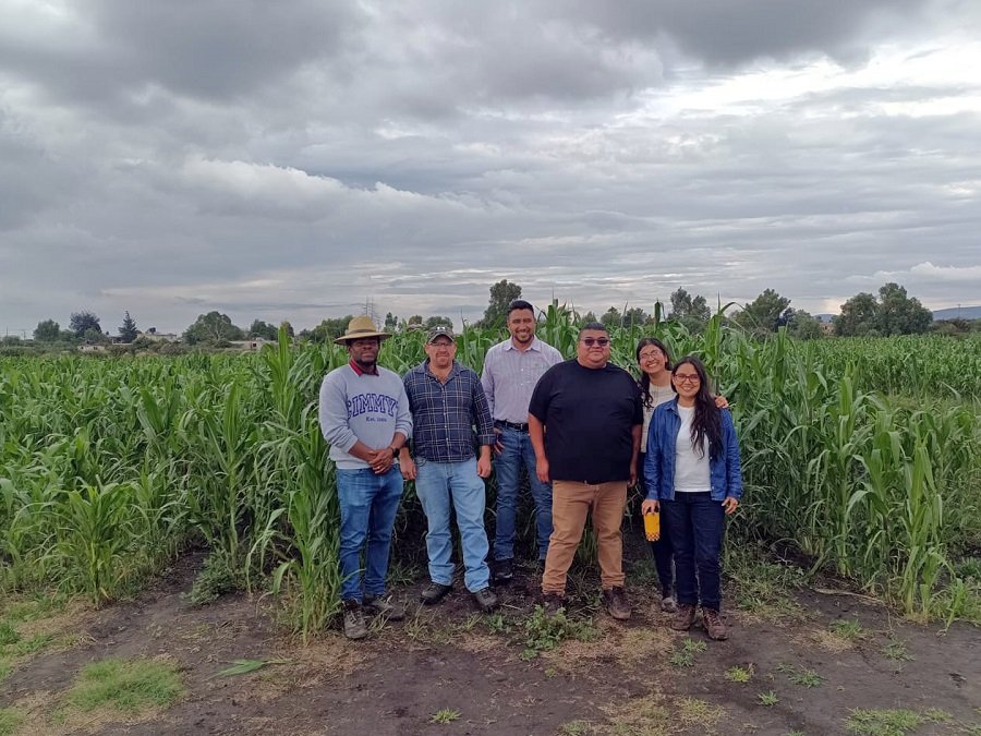 ITESHU y CIMMYT desarrollan alternativas para mejorar la producción agrícol