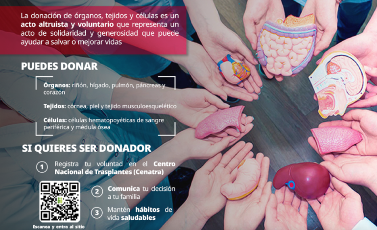 Invita IMSS Hidalgo a Convertirse en Donador Voluntario de Órganos y Tejidos