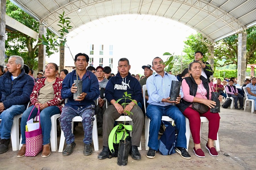 Apoyos al Campo Impulsan La Productividad de Ocho Municipios de La Sierra y Huasteca