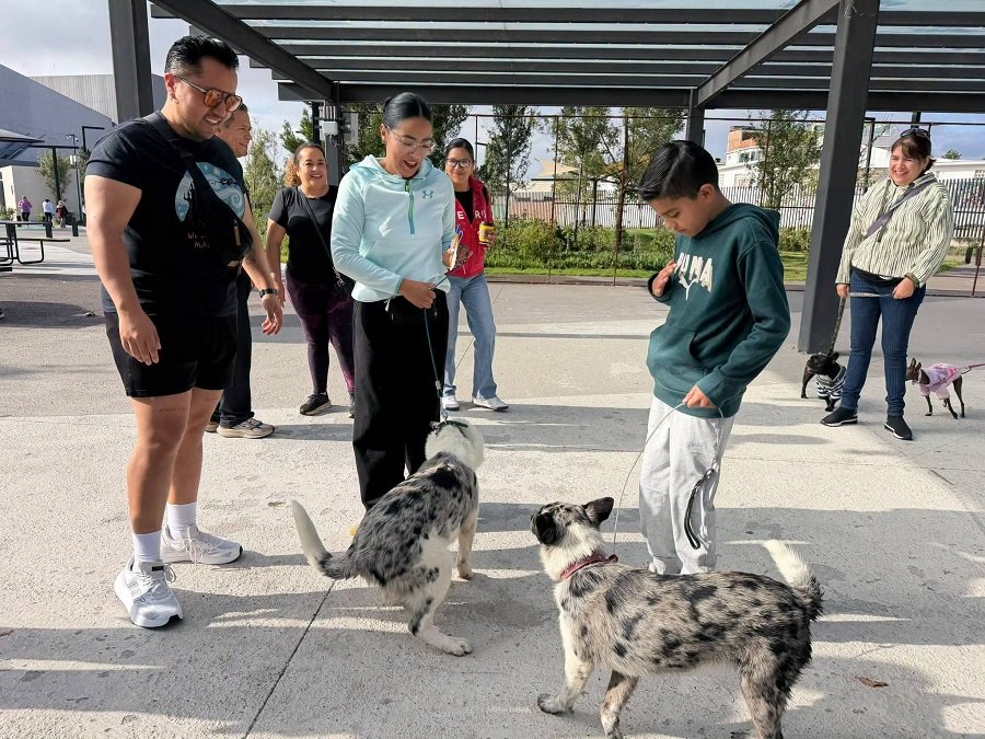 SEPH promueve bienestar animal con caminata “Dejando Huella”