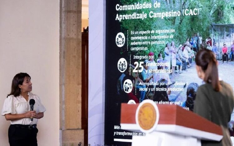 Sembrando Vida Brinda Bienestar, Restauración Ecológica y Conservación: Presidenta Claudia Sheinbaum; La Meta Es Beneficiar a 450 Mil Sembradores Y Plantar Mil 500 Millones de Árboles y Plantas